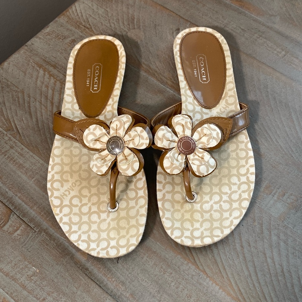 Coach Signature Print Pattey Floral Sandals